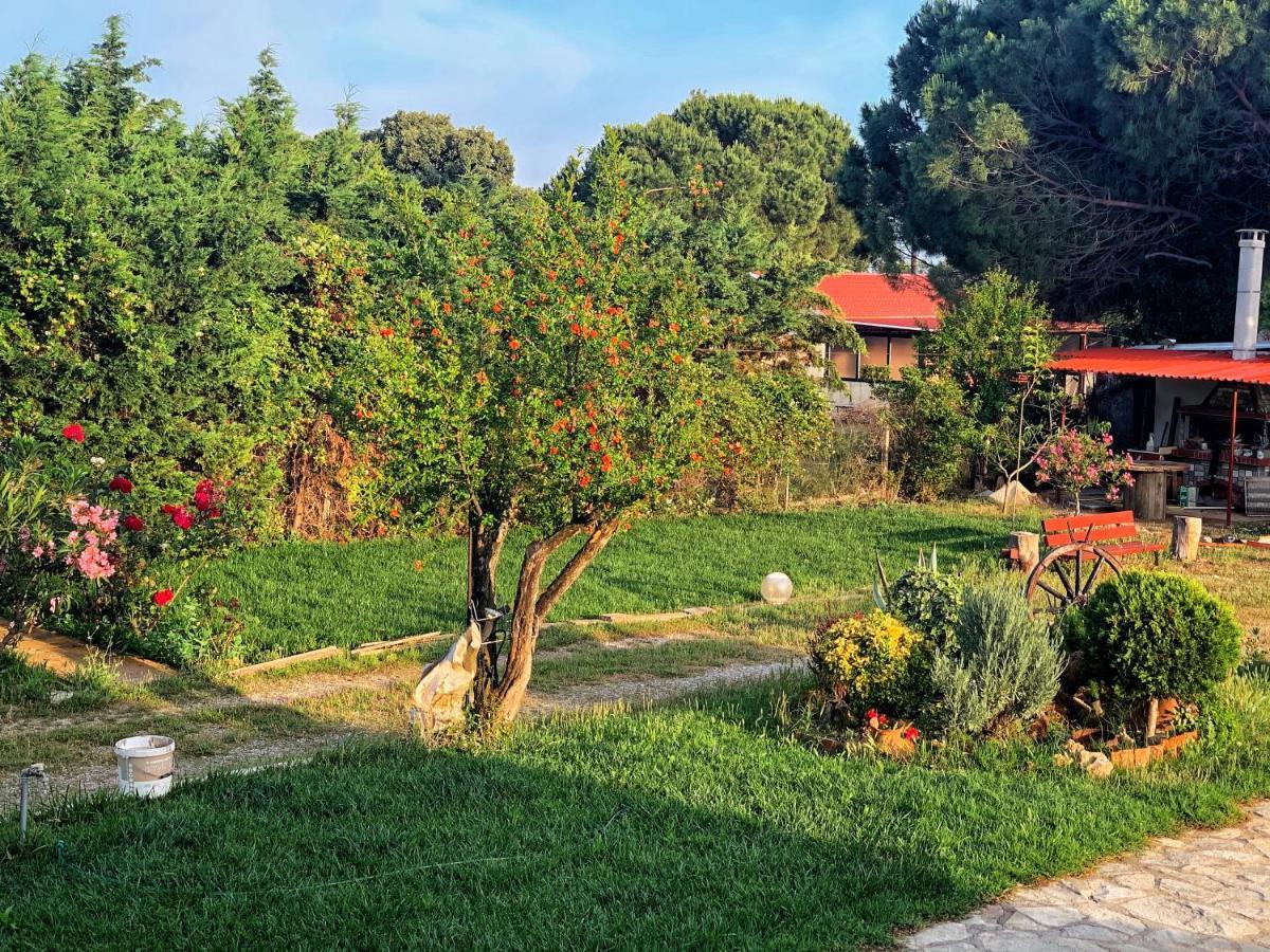 Villa Ivonnis Garden à Mesimvria  Extérieur photo