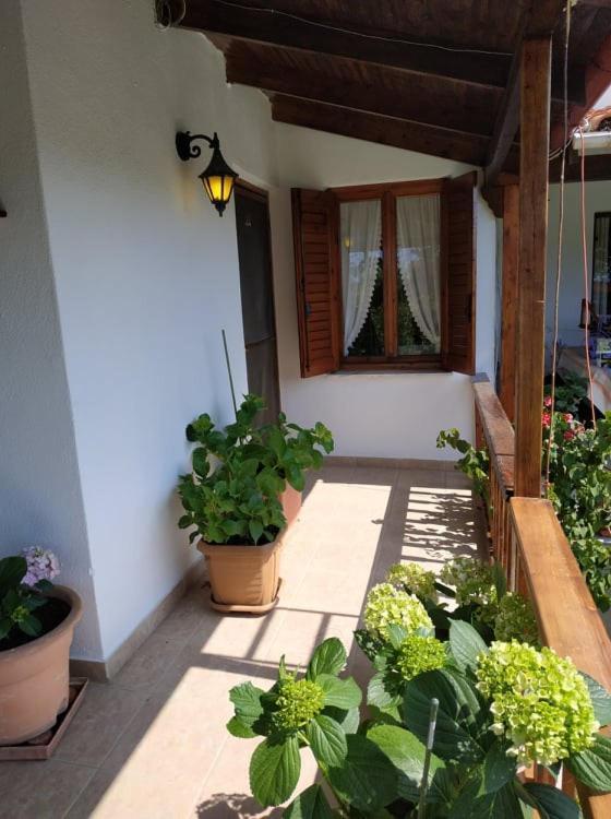 Villa Ivonnis Garden à Mesimvria  Extérieur photo