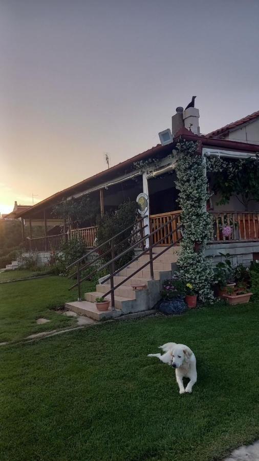 Villa Ivonnis Garden à Mesimvria  Extérieur photo