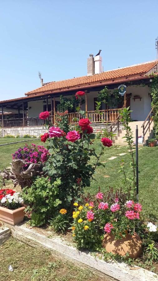 Villa Ivonnis Garden à Mesimvria  Extérieur photo